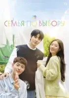 Семья по выбору смотреть онлайн сериал 1 сезон